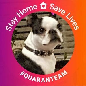 Meet your Posher, Patty alston